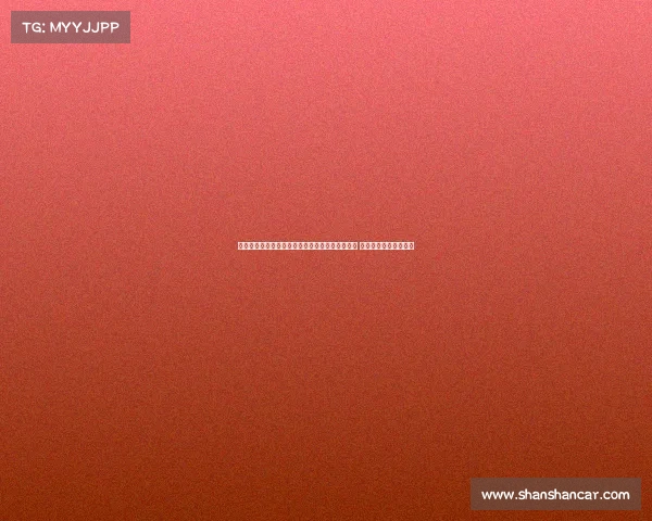 欧塞尔青训总监：青训教练应具备耐心与利他精神 成绩并非唯一评价标准