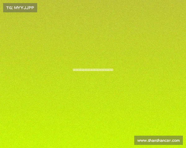 小维阿黎明时告别尤文训练营以租后买加盟马赛展开新篇章